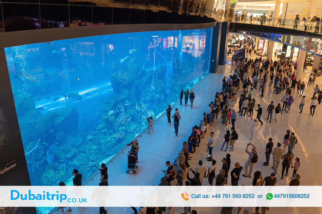 Dubai-Aquarium-and-Underwater-Zoo